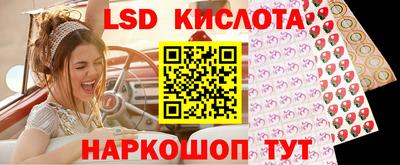 apvp Обнинск