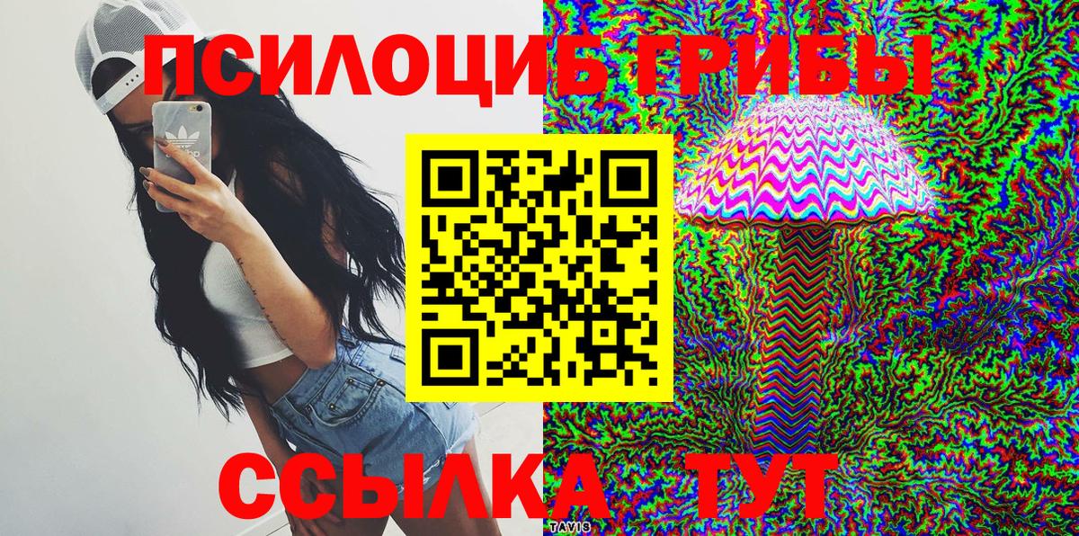 Галлюциногенные грибы прущие грибы Сегежа